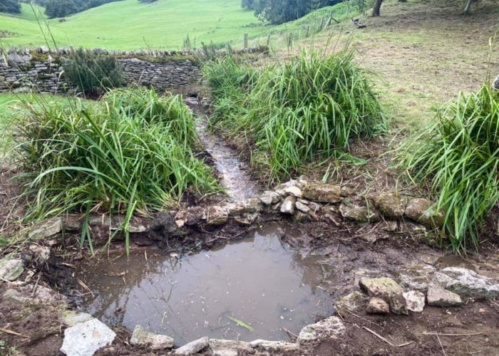 Well Hill Garden Restoration