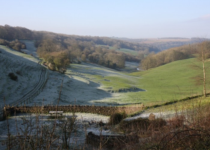 Valley in Spring