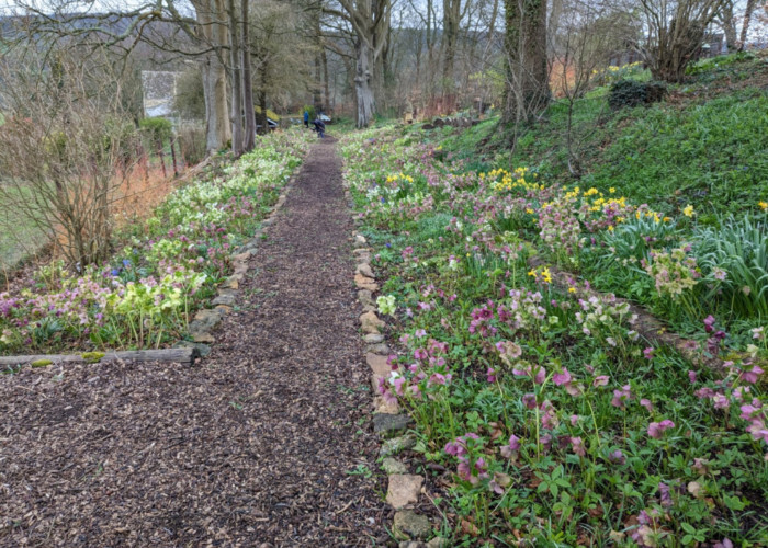 Trench Hill Garden Visit